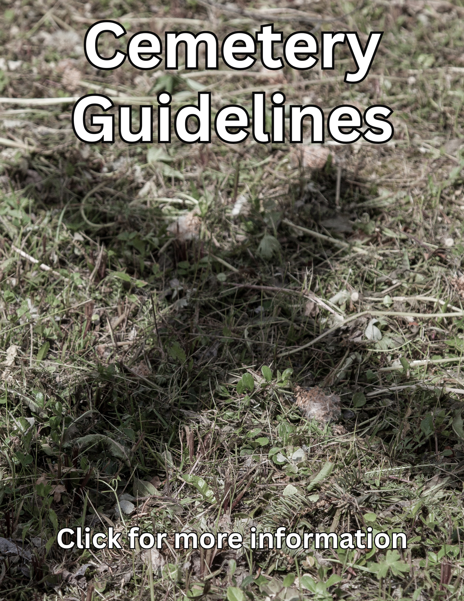 Cemetery Guidelines